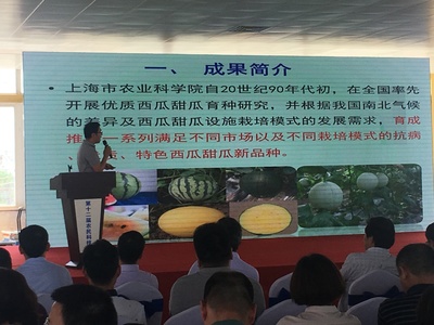 浦東第十二屆農民科技節開幕，初夏時節聚焦農業信息咨詢